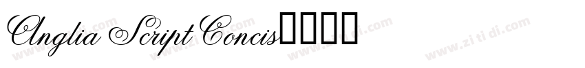 Anglia Script Concis字体转换